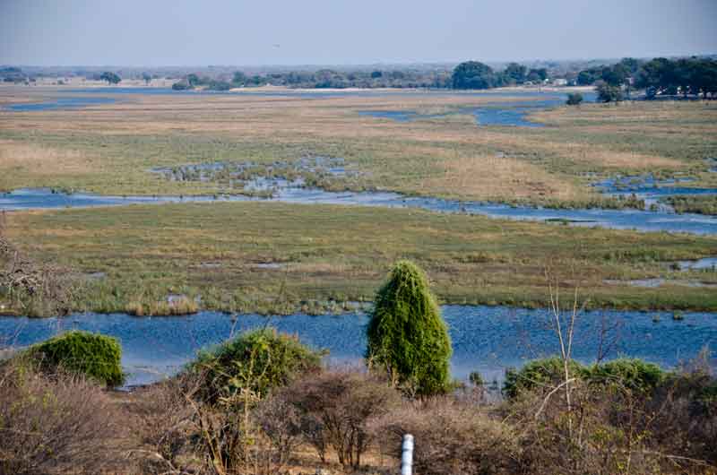 21 - Namibia - parque nacional de Bwabwata - paisaje
